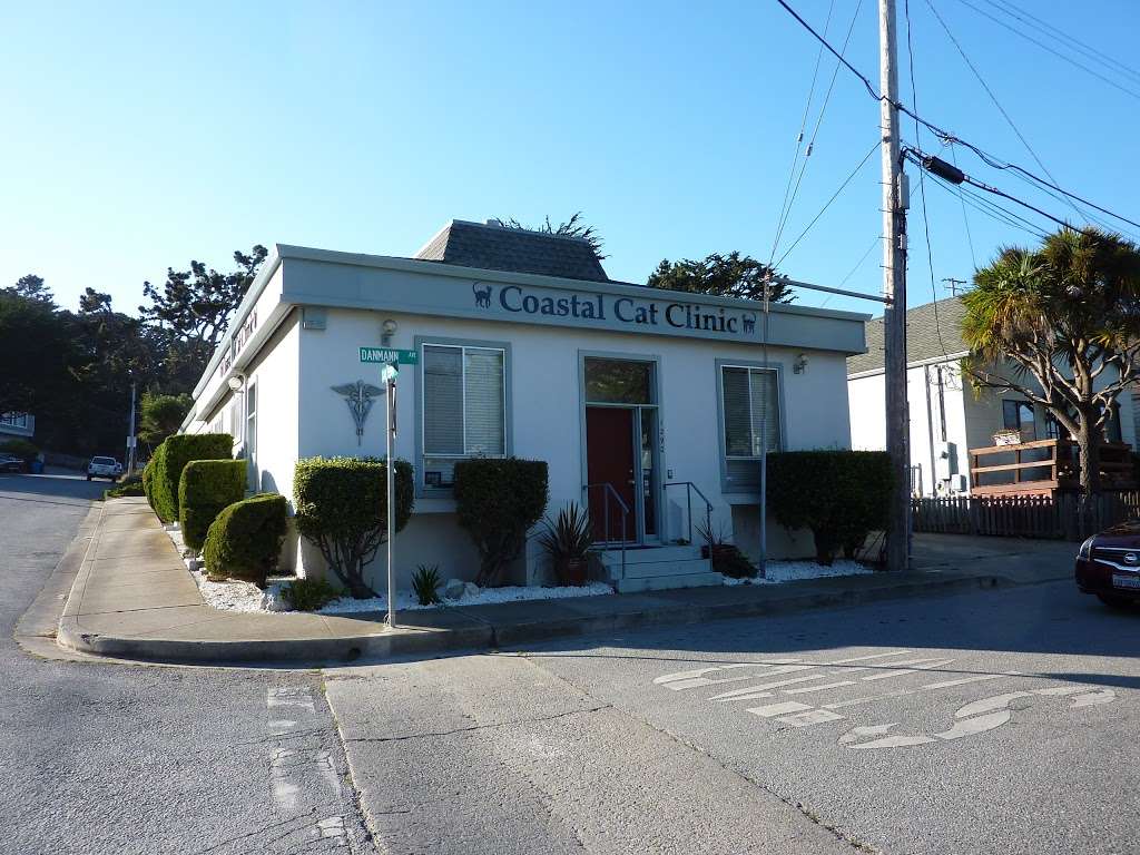 Coastal Cat Clinic | 1290 Danmann Ave, Pacifica, CA 94044, USA | Phone: (650) 557-2781