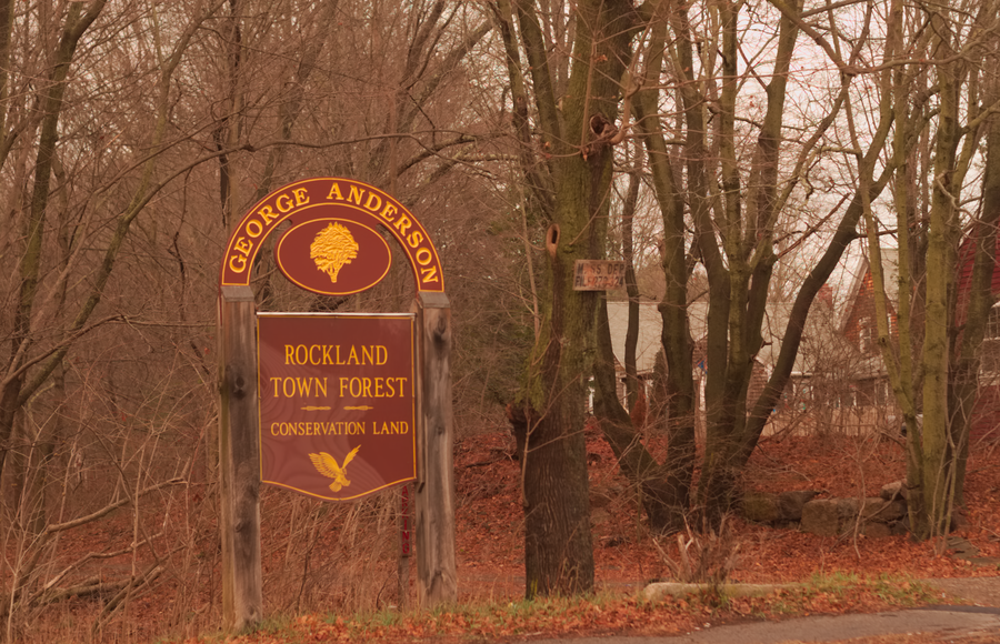 Rockland Town Forest and Conservation Land | North Ave, Rockland, MA 02370, USA | Phone: (781) 871-0579