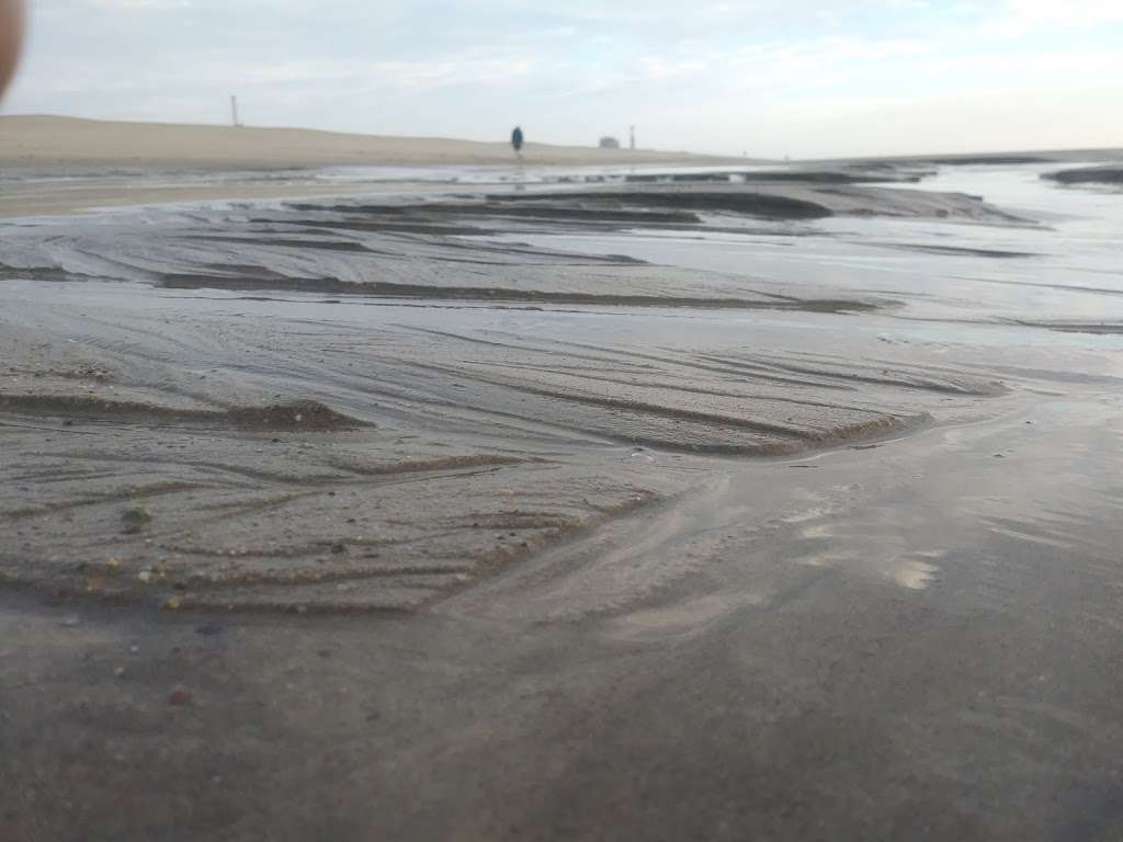 Santa Clara Estuary Natural Preserve | Oxnard, CA 93036, USA