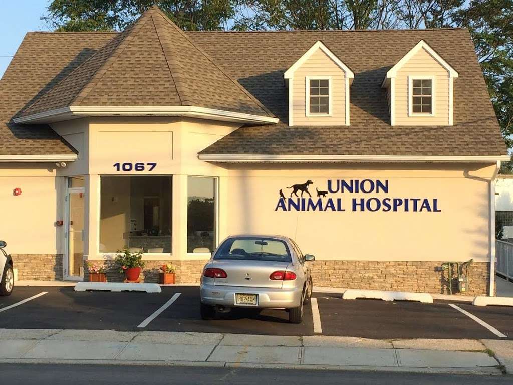 Union Animal Hospital | 1067 Commerce Ave, Union, NJ 07083, USA | Phone: (908) 378-5188
