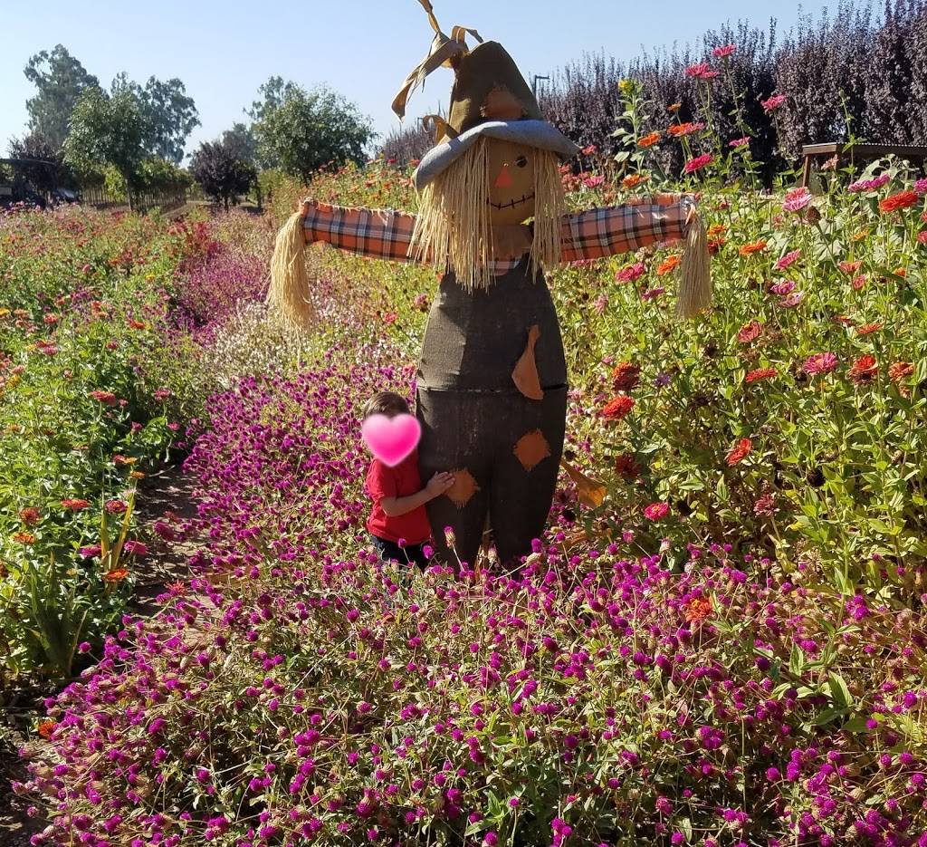 Phillips Farms | Lodi, CA 95242, USA | Phone: (209) 368-7384