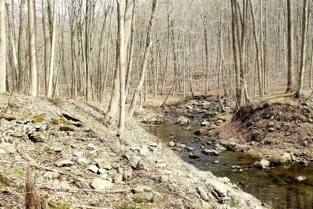 Buttermilk Falls | Mendham, NJ 07945, USA