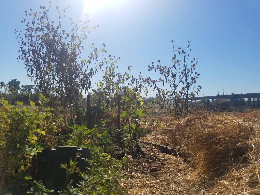 Veggielution Community Farm | 647 S King Rd, San Jose, CA 95116 | Phone: (408) 753-6705