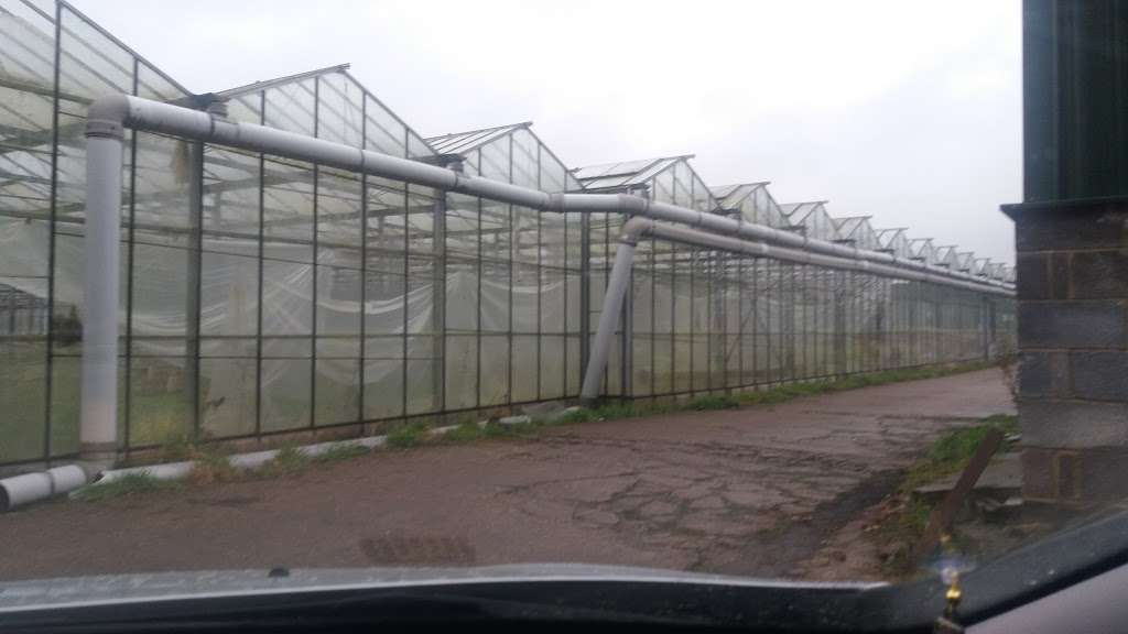 Cws Nursery, Unit 3 | Unnamed Road, Waltham Abbey, Nazeing, Waltham Abbey EN9 2RN, UK