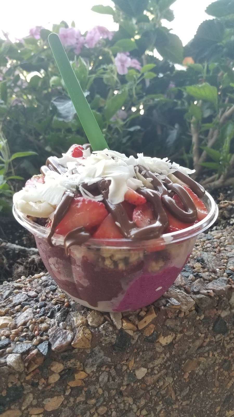 Playa Bowls | 230 Rt 206 N, Chester, NJ 07930, USA | Phone: (908) 888-2879