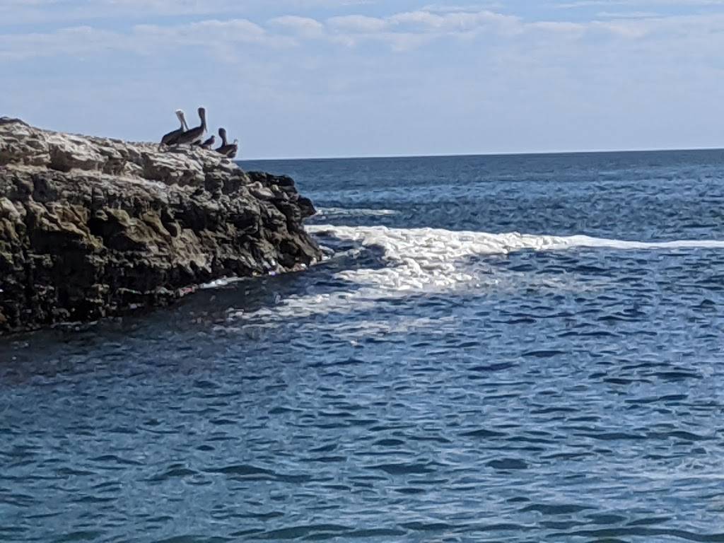 Fern Grotto Beach | Santa Cruz, CA 95060, USA | Phone: (831) 423-9703