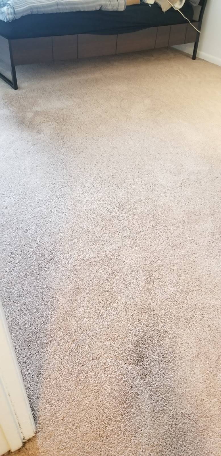 Jimmys Professional Carpet Cleaning | 6 W Elm Ave, Quincy, MA 02170, USA | Phone: (617) 481-1533