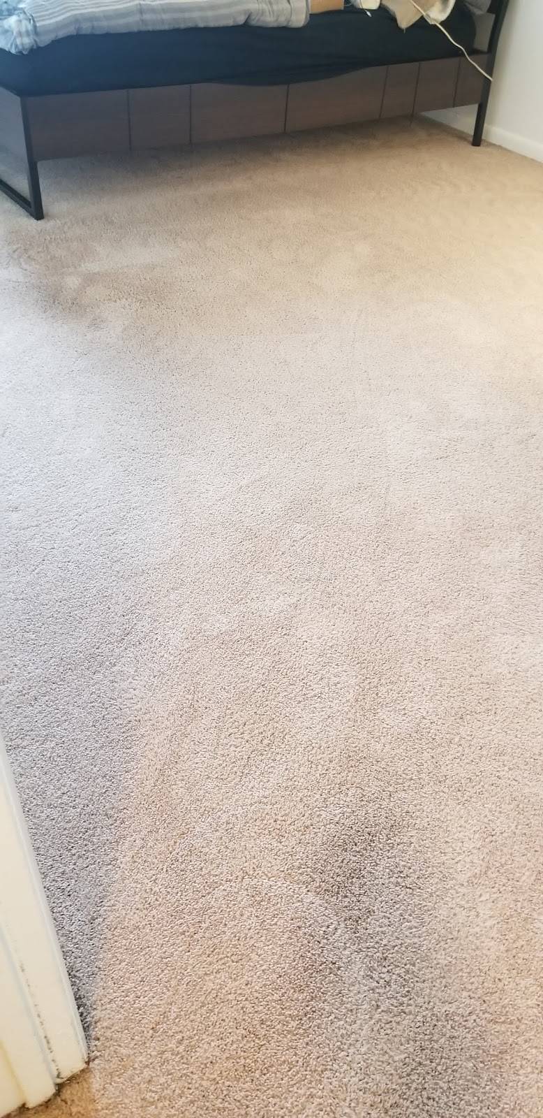 Jimmys Professional Carpet Cleaning | 6 W Elm Ave, Quincy, MA 02170 | Phone: (617) 481-1533