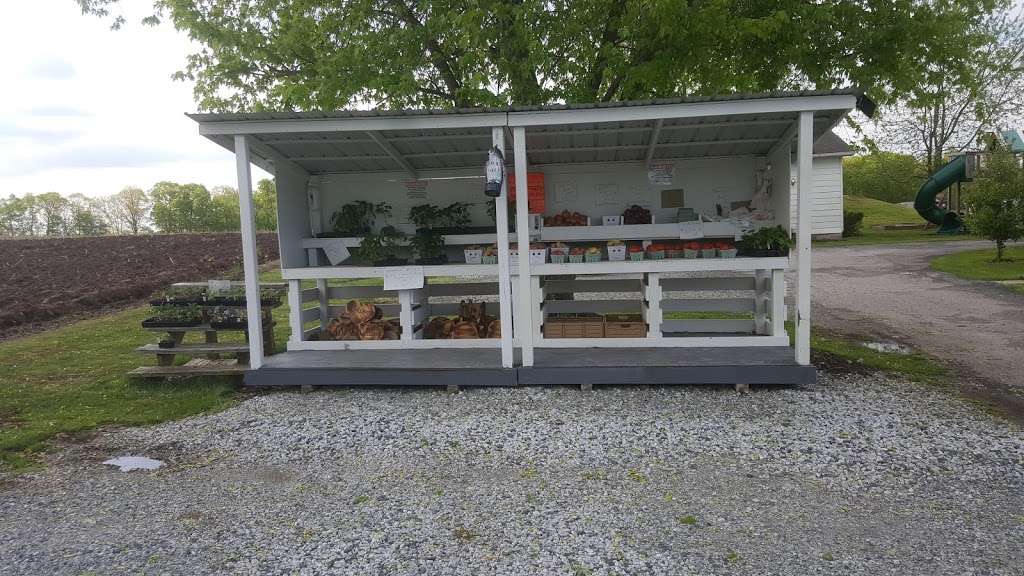 Naylors Fruit Stand | 1757 Heidlersburg Rd, Aspers, PA 17304, USA | Phone: (717) 752-4761