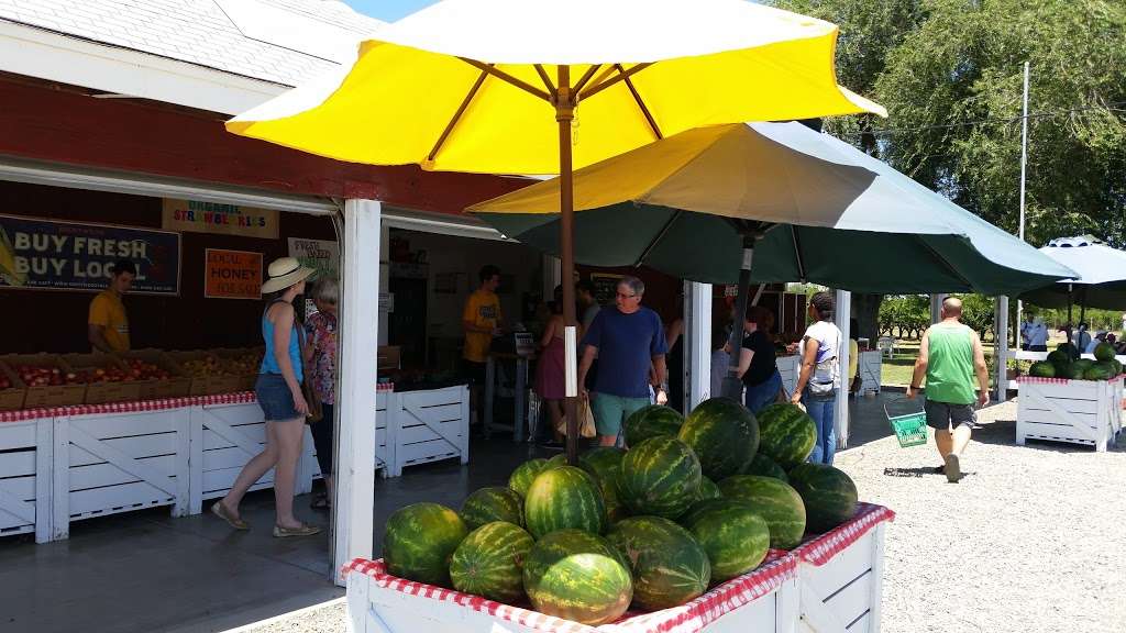 Farmers Daughter Produce | 23151 Marsh Creek Rd, Brentwood, CA 94513, USA | Phone: (925) 634-4827