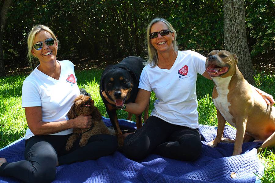 Austin Pet Love | 1201 Carlotta Ln #1530, Austin, TX 78733, USA | Phone: (512) 803-3483