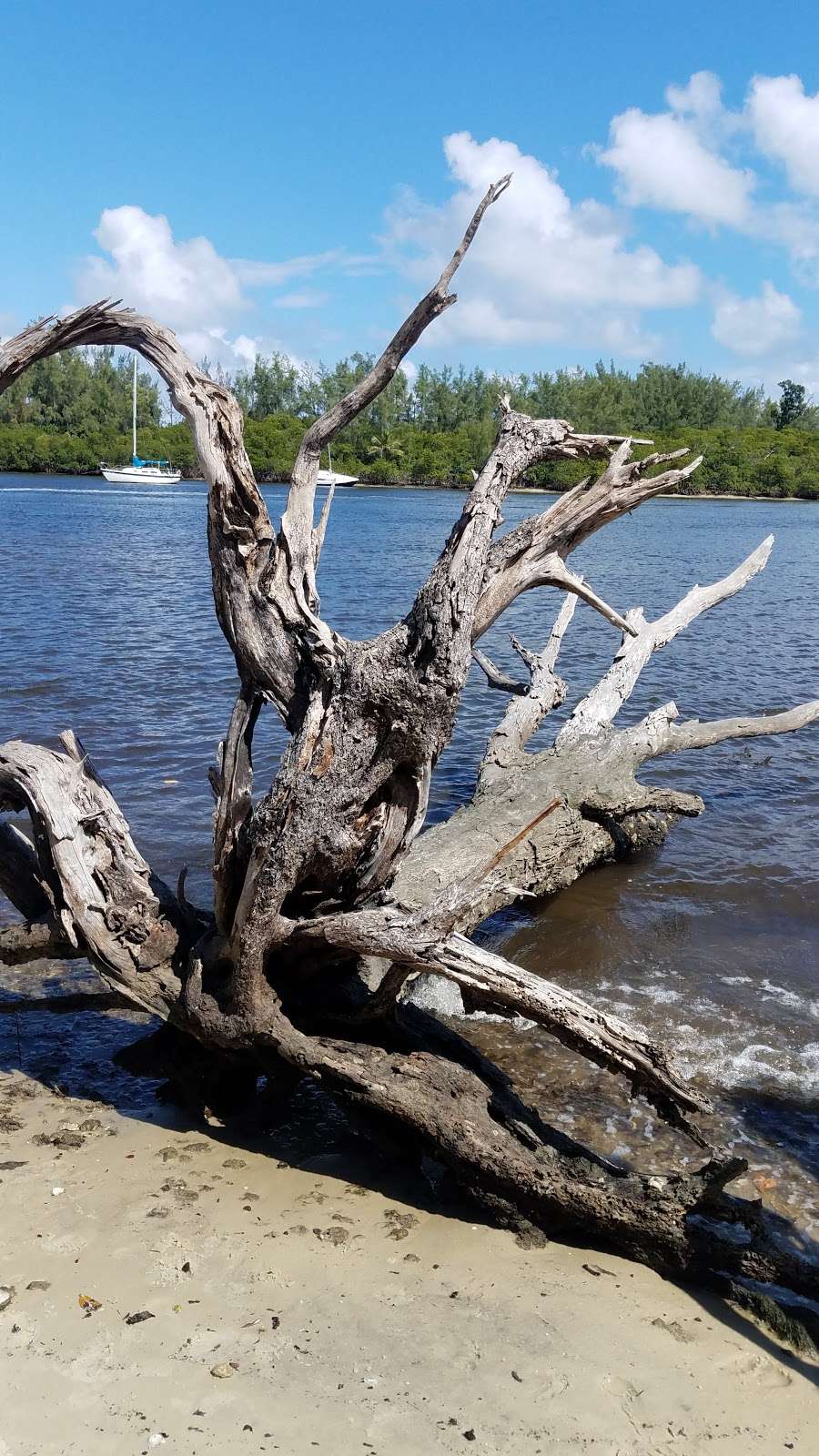 Loxahatchee River-Lake Worth Creek Aquatic Preserve Outstanding  | Tequesta, FL 33469, USA