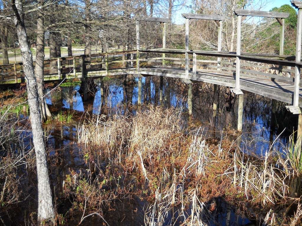 Pine Brook South Wetlands | Park Path, Houston, TX 77059, USA | Phone: (281) 280-9944