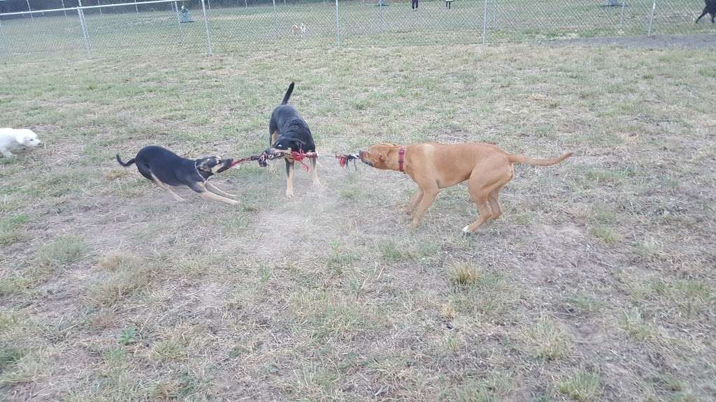 Deptford Doggie Park | 505 Deptford Ave, Westville, NJ 08093, USA Deptford Doggie Park | 505 Deptford Ave, Westville, NJ 08093, USA