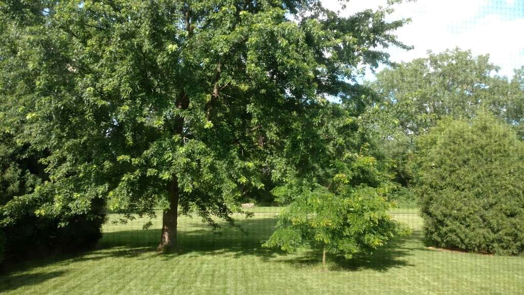 Fetzner Park | 704 Alexandra Blvd, Crystal Lake, IL 60014, USA | Phone: (815) 459-0680