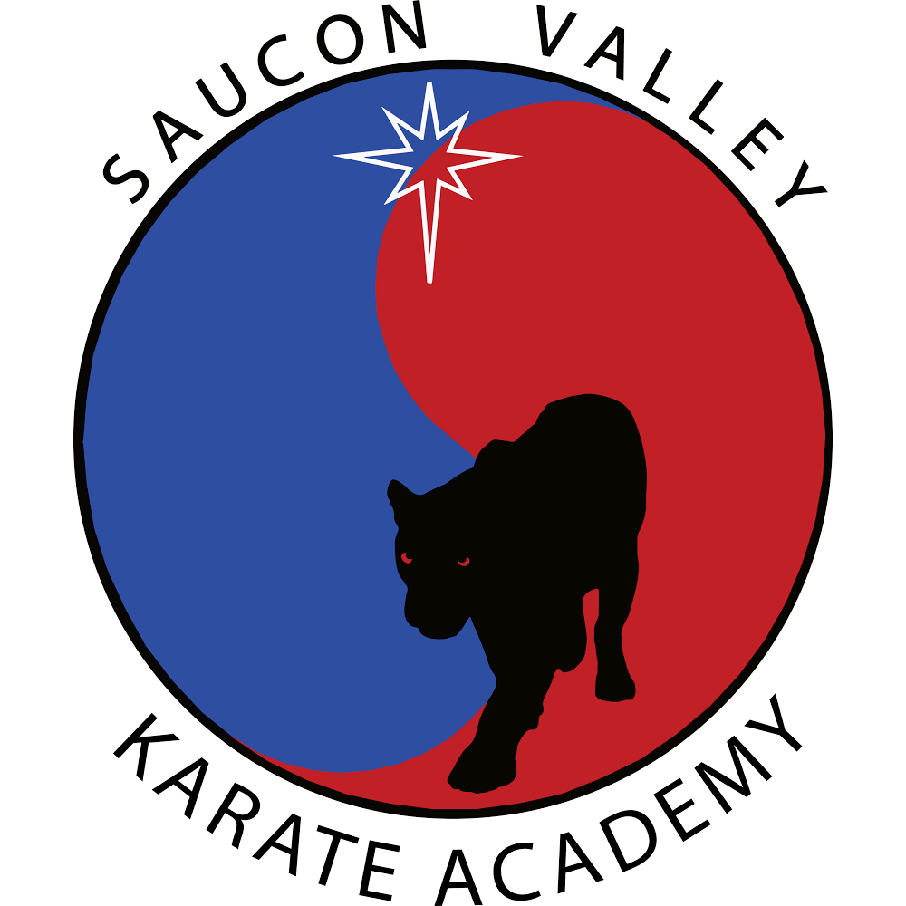 Saucon Valley Karate Academy | 46 W Water St, Hellertown, PA 18055, USA | Phone: (610) 748-1575