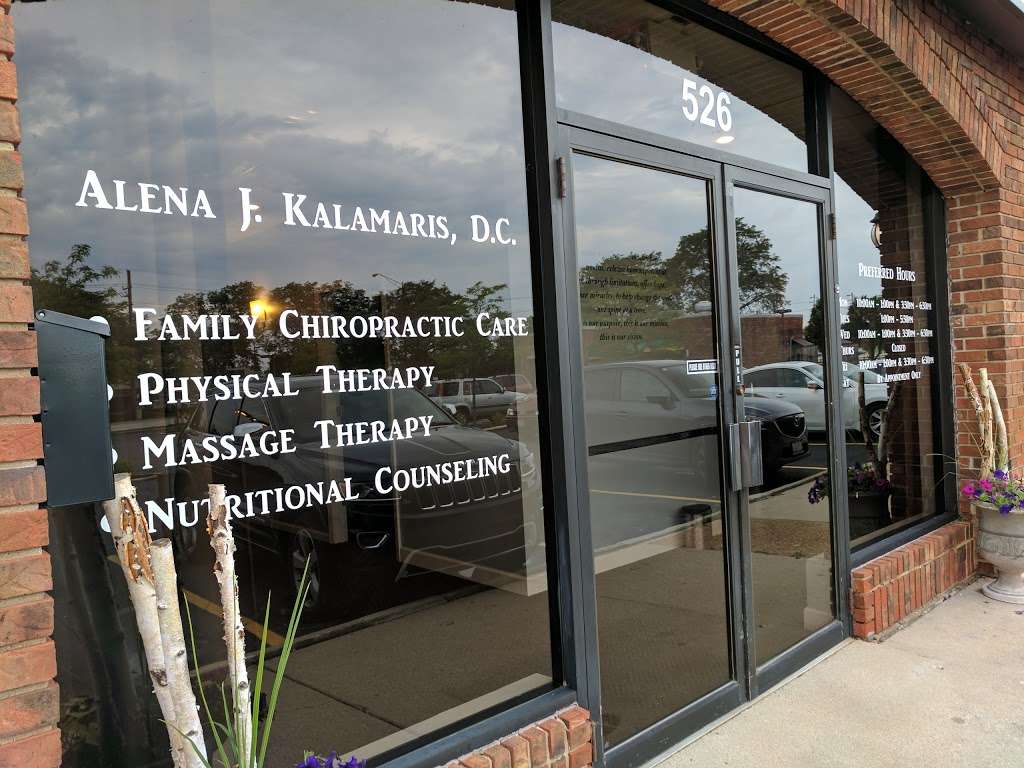 Access Chiropractic Center | 526 W Wise Rd, Schaumburg, IL 60193 | Phone: (847) 584-0532