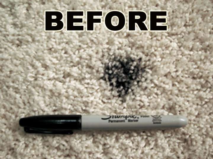 Gallery Carpet Care | 8432 W 85th St, Indianapolis, IN 46278, USA | Phone: (317) 769-0777