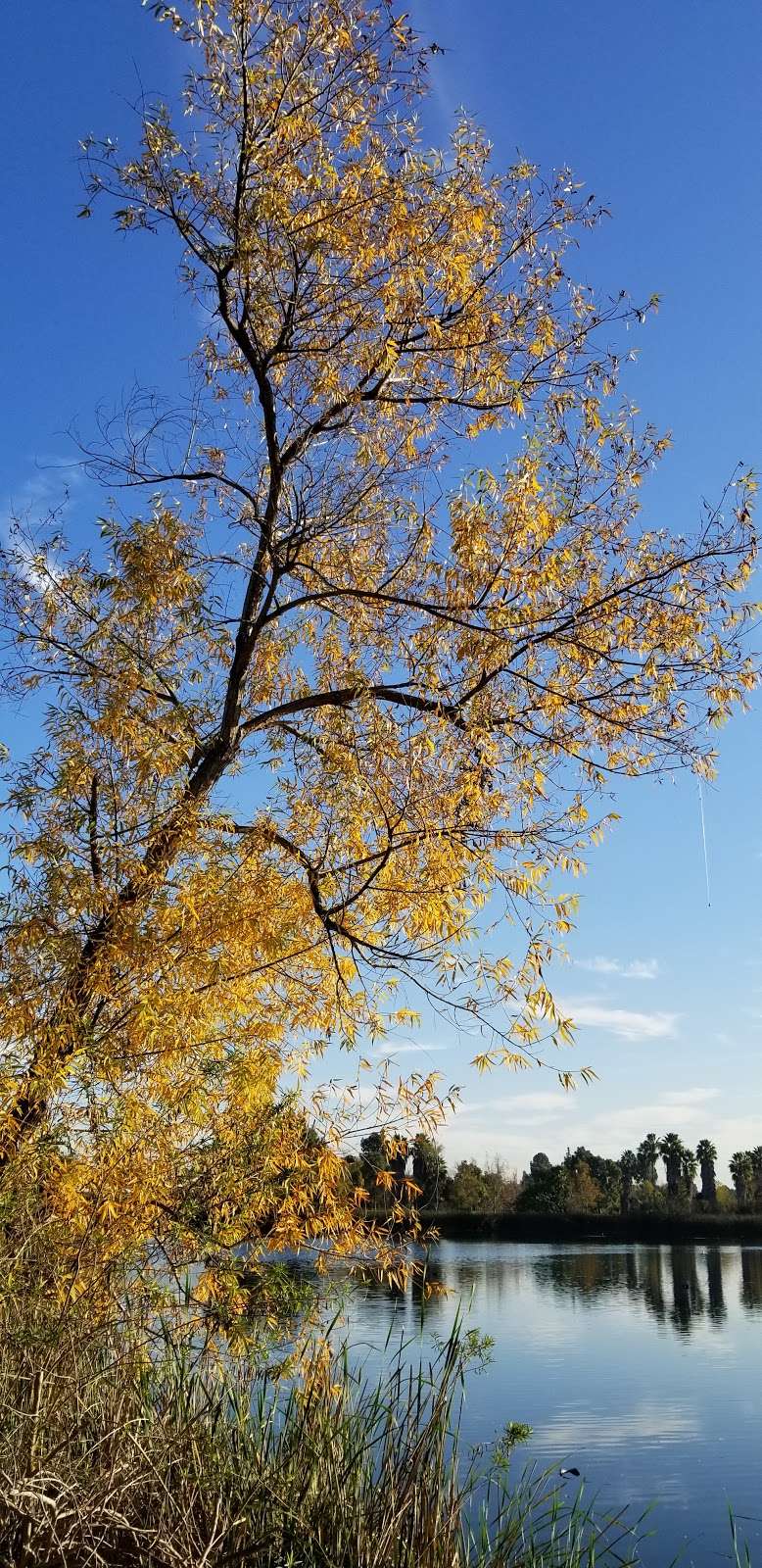 Los Cerritos Wetlands Headquarters | 81432 San Gabriel River Bike Trail, Seal Beach, CA 90740