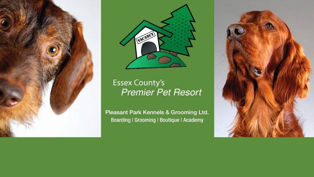 Pleasant Park Grooming | 5285 Manning Rd, Maidstone, ON N0R 1K0, Canada | Phone: (519) 796-2083