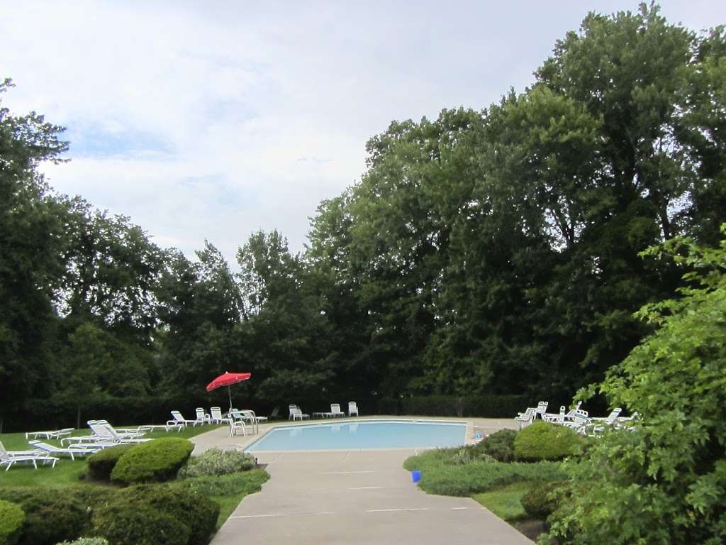 New Milford Swim Club Inc | 106 Trotta Dr, New Milford, NJ 07646, USA | Phone: (201) 261-8278