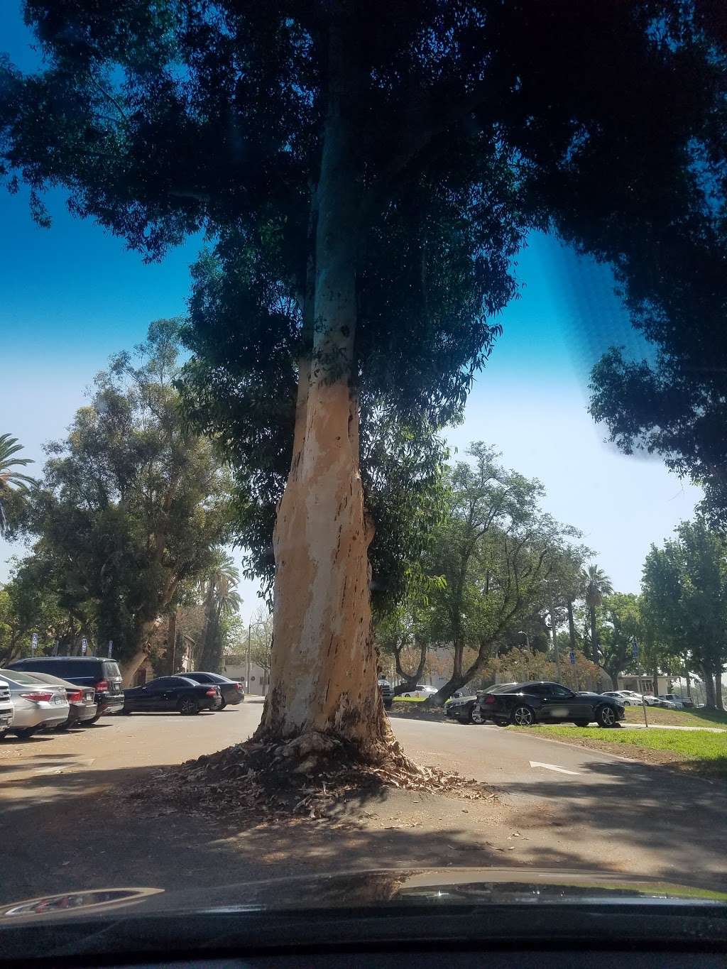 Patton State Hospital | 3102 Highland Ave, Patton, CA 92369, USA | Phone: (909) 425-7000