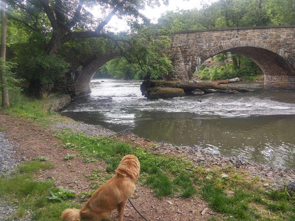 Antietam Creek Canoe | 19005 Lappans Rd, Boonsboro, MD 21713, USA | Phone: (240) 447-0444