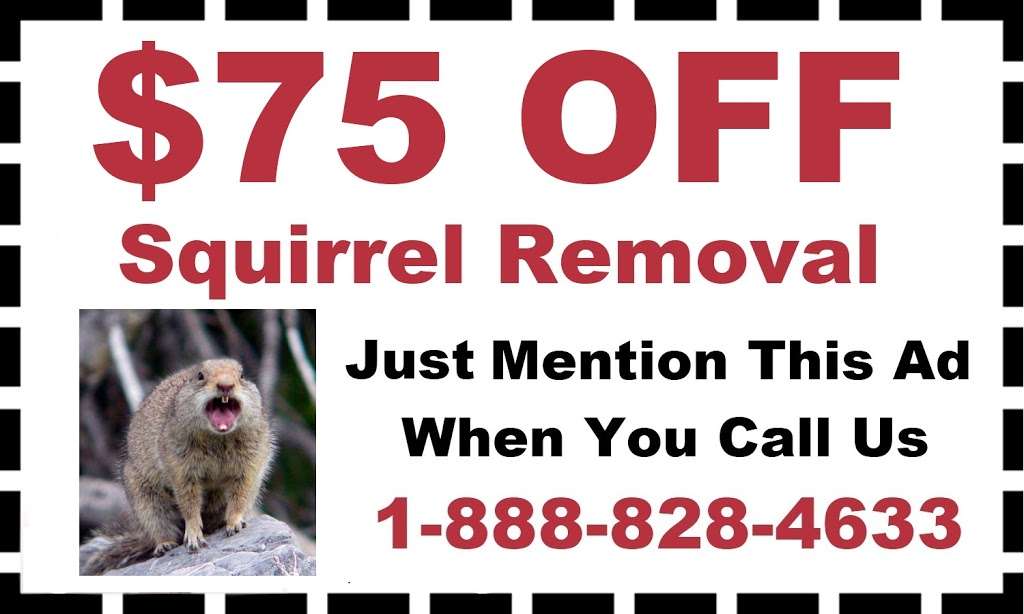 D & T Pest and Termite Control, Inc. | 27 Judy Ln, Bellingham, MA 02019, USA | Phone: (508) 966-4470