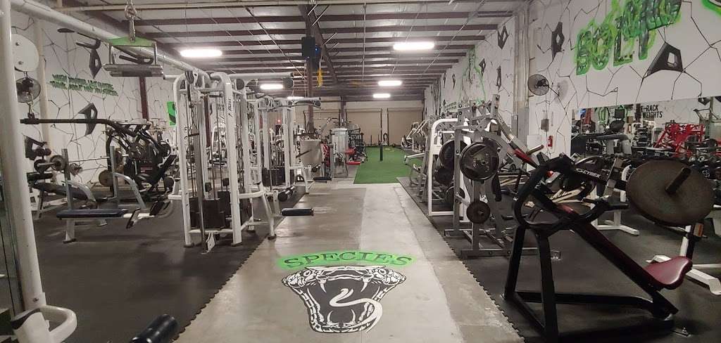 Species Gym | 3115 N Fry Rd #305, Katy, TX 77449, USA | Phone: (832) 427-5770