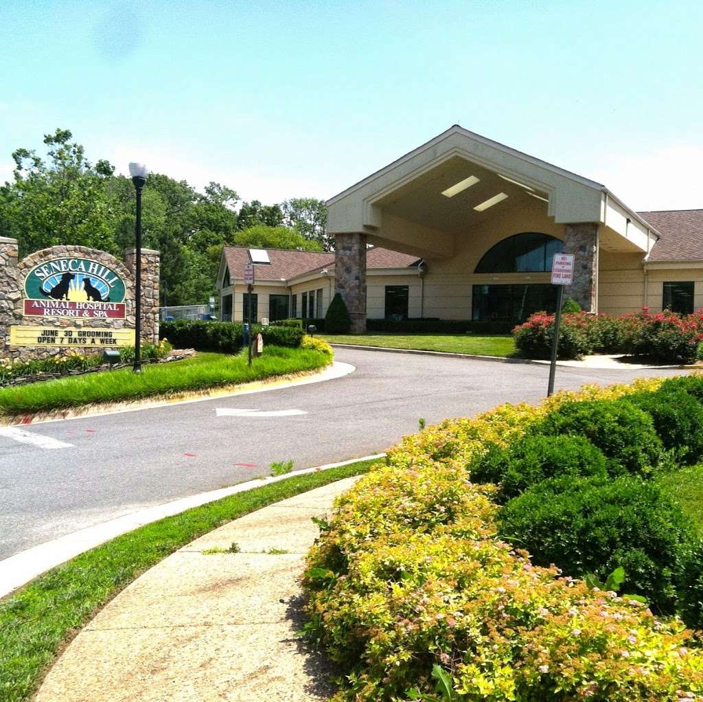 Seneca Hill Animal Hospital Resort & Spa | 11415 Georgetown Pike, Great Falls, VA 22066, USA | Phone: (703) 450-6760