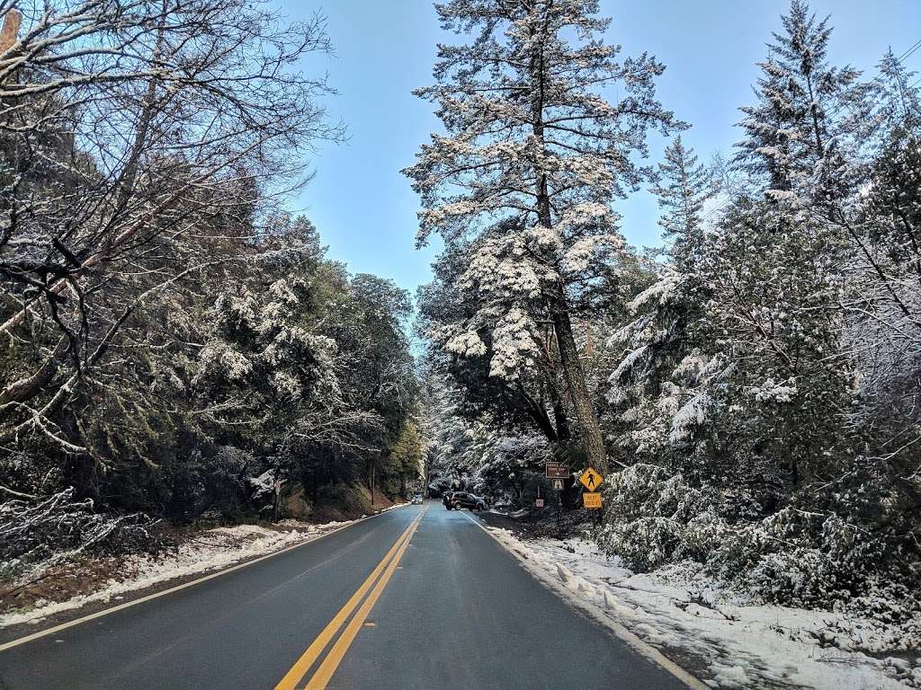 Castle Rock Trail | Castle Rock Trail, Los Gatos, CA 95033