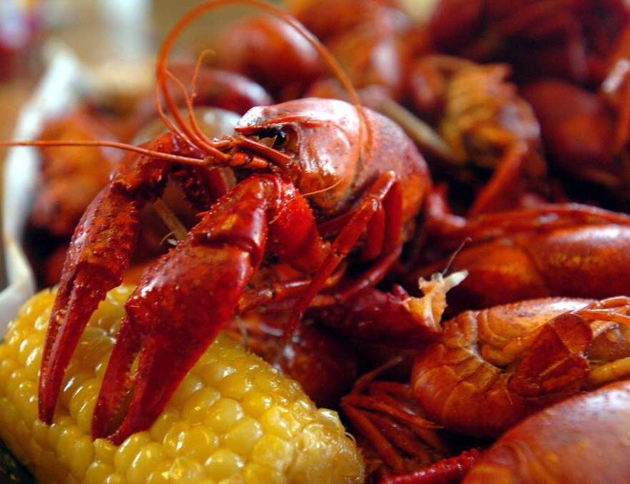 Crawfish Ranch | 24913 I-10, Wallisville, TX 77597, USA | Phone: (713) 471-4647