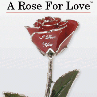 Love is a Rose | 29W120 Butterfield Rd Suite #106, Warrenville, IL 60555 | Phone: (630) 393-1111