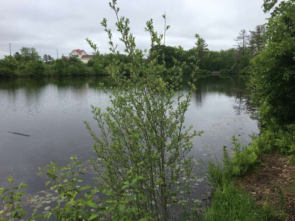 Woodside Pond | MANS, 12-17, Mansfield, MA 02048, USA