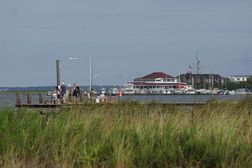 Lavallette Yacht Club | 124 Swan Point Rd, Lavallette, NJ 08735 | Phone: (732) 793-8747