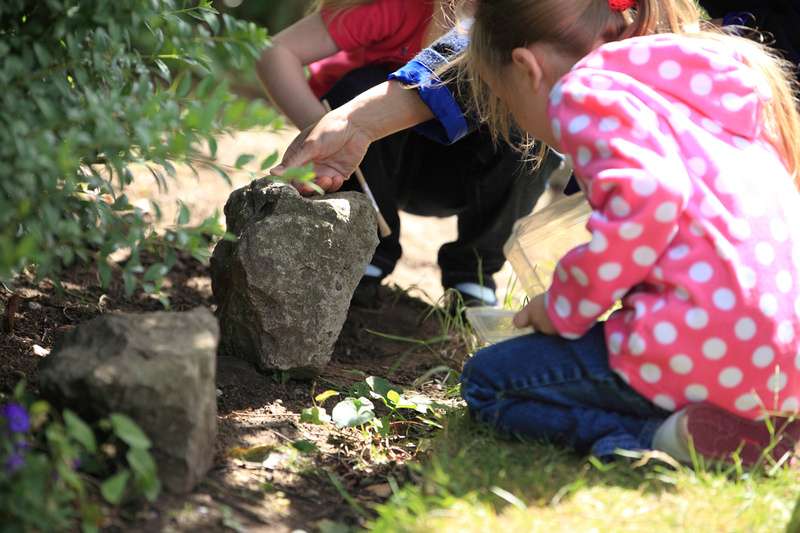 Wide Horizons Environment Centre | Environmental Curriculum Service, 77 Bexley Rd, London SE9 2PE, UK | Phone: 0845 600 6567