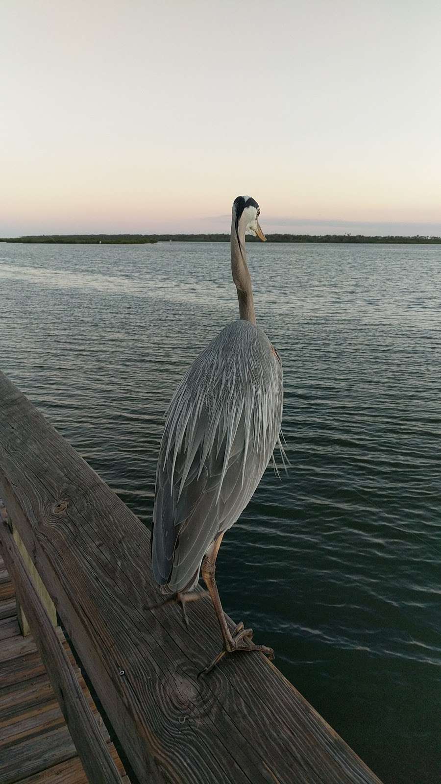 Mary McLeod Bethune Park West Side | Ladyfish Ave, New Smyrna Beach, FL 32169, USA