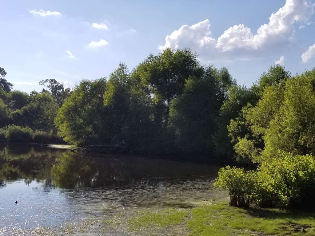 Piedmont Prairie Trail - McDowell Nature Preserve | 12600 4 Horse Rd, Charlotte, NC 28278, USA | Phone: (980) 314-1128