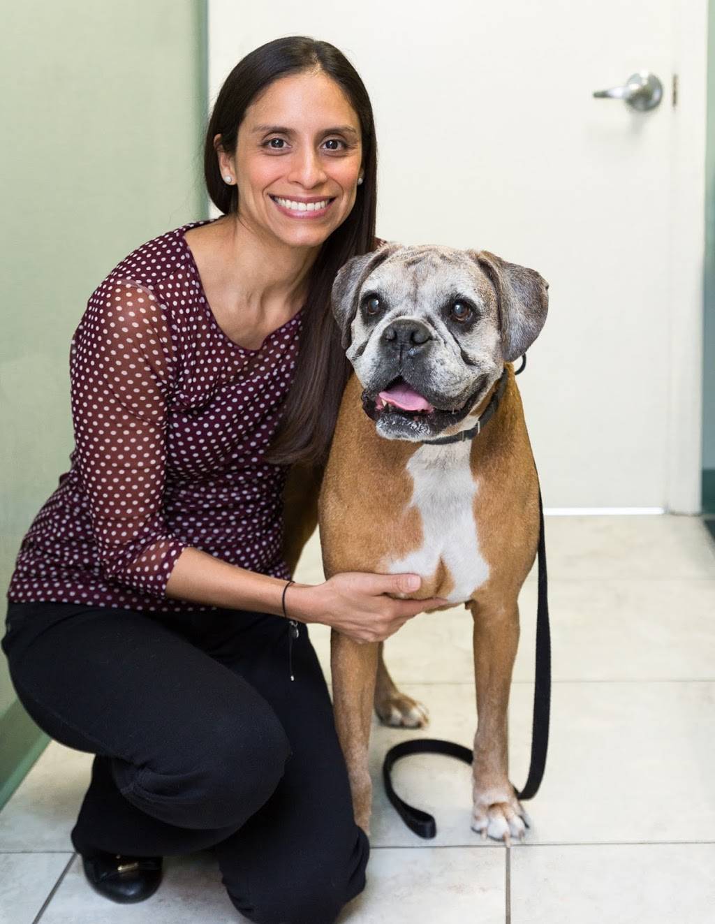 Miami Veterinary Dermatology | 6394 S Dixie Hwy, South Miami, FL 33143 | Phone: (305) 740-3376