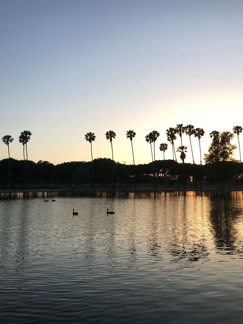 Alondra Park Fishing Pond | Lawndale, CA 90260, USA | Phone: (310) 217-8366