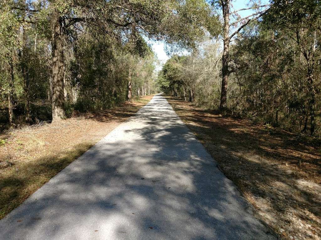 Van Fleet Trail - Polk City Trailhead | Van Fleet Trail, Polk City, FL 33868, USA | Phone: (352) 394-3969