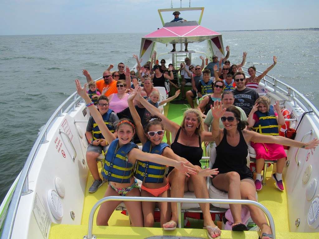 Screamer Speedboat & Dolphin Watch | 244 Bay Ave, Ocean City, NJ 08226 | Phone: (609) 398-5800