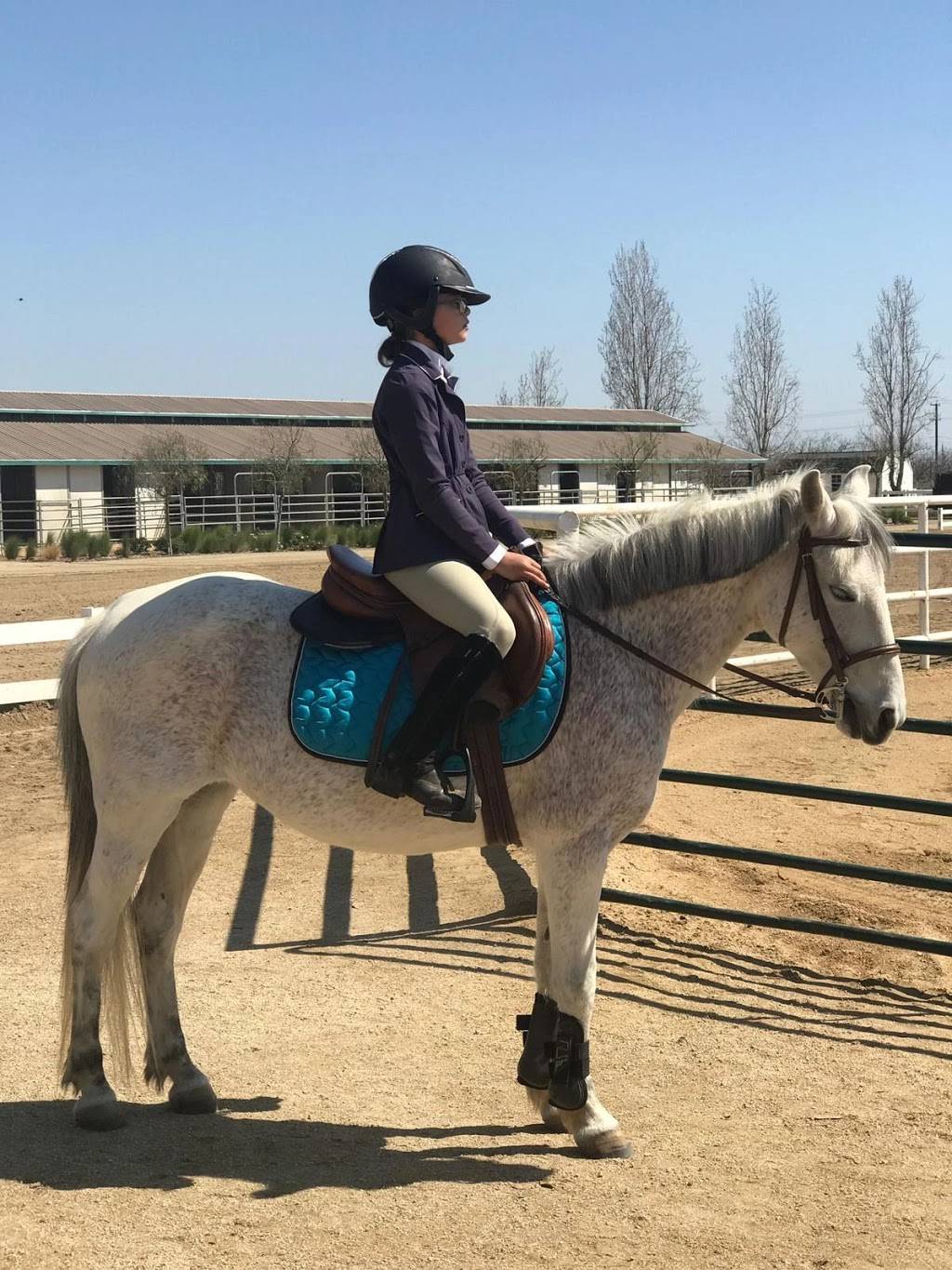 Kern Equestrian Academy | 6320 Krebs Rd, Bakersfield, CA 93308, USA | Phone: (561) 901-6695