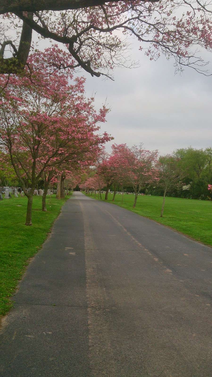 Ewing Cemetery | 78 Scotch Rd, Ewing Township, NJ 08628, USA | Phone: (609) 882-0279