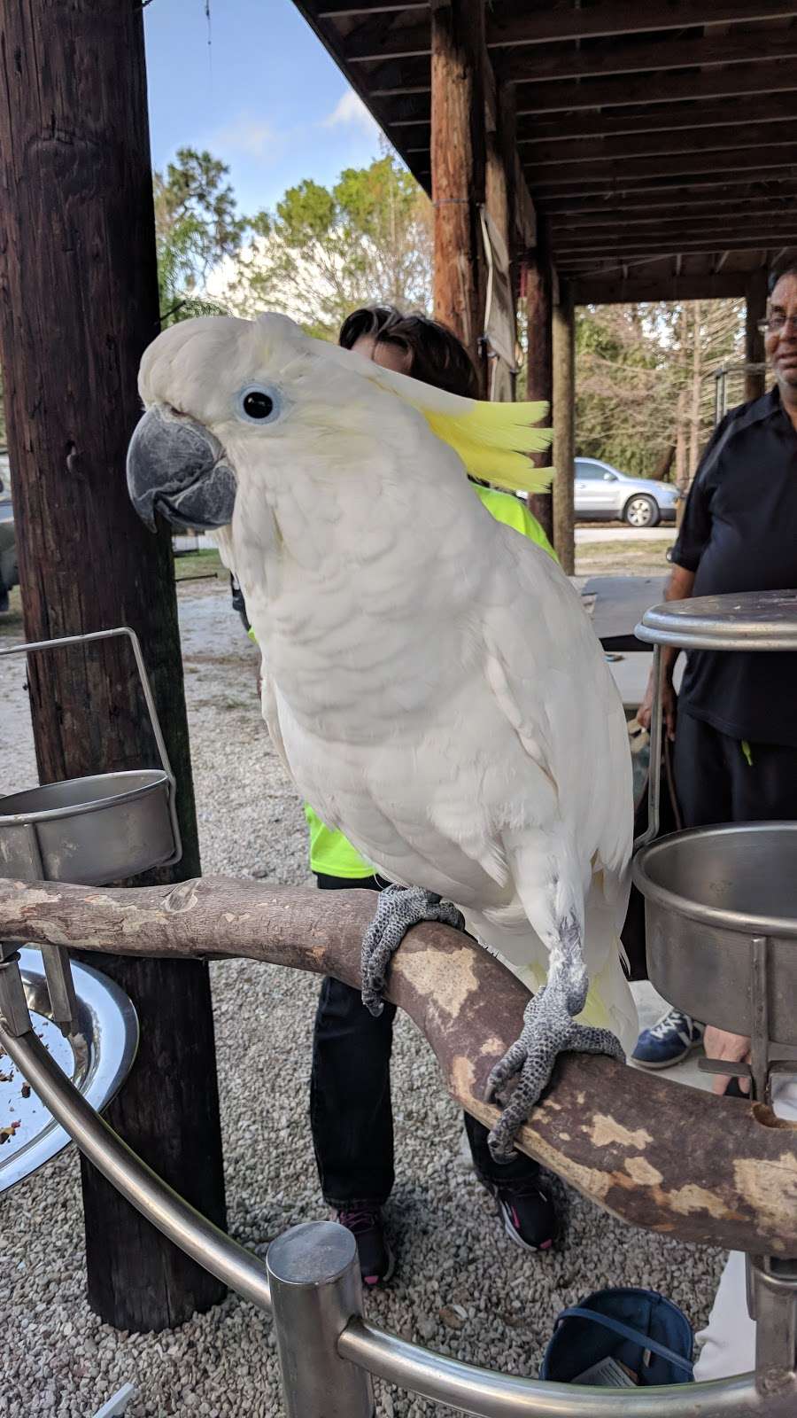 rainforest clinic for birds and exotics