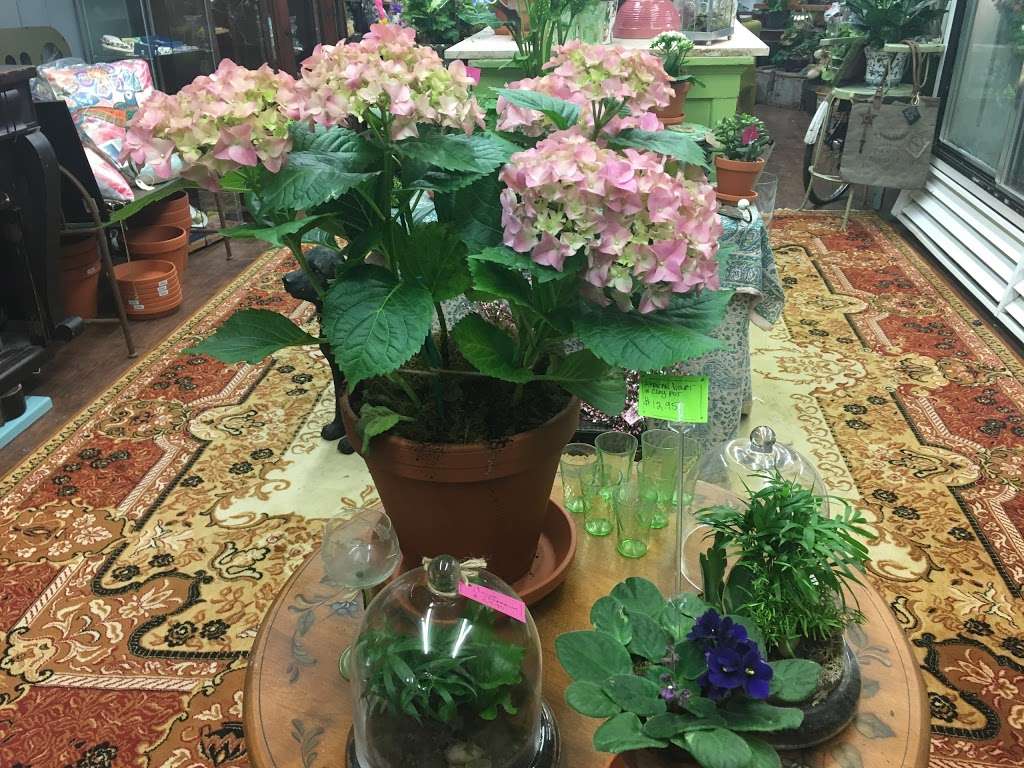 The Flower Shop | 1120 S Ave W, Westfield, NJ 07090, USA | Phone: (908) 233-5413