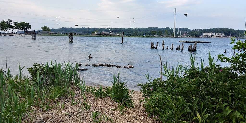 Hempstead Harbor Shoreline Park | Port Washington, NY 11050