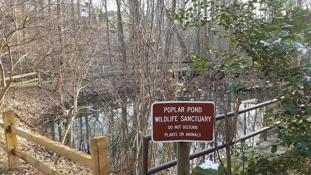 Poplar Pond at Long Branch Nature Center/Park | 648 S Illinois St, Arlington, VA 22204, USA