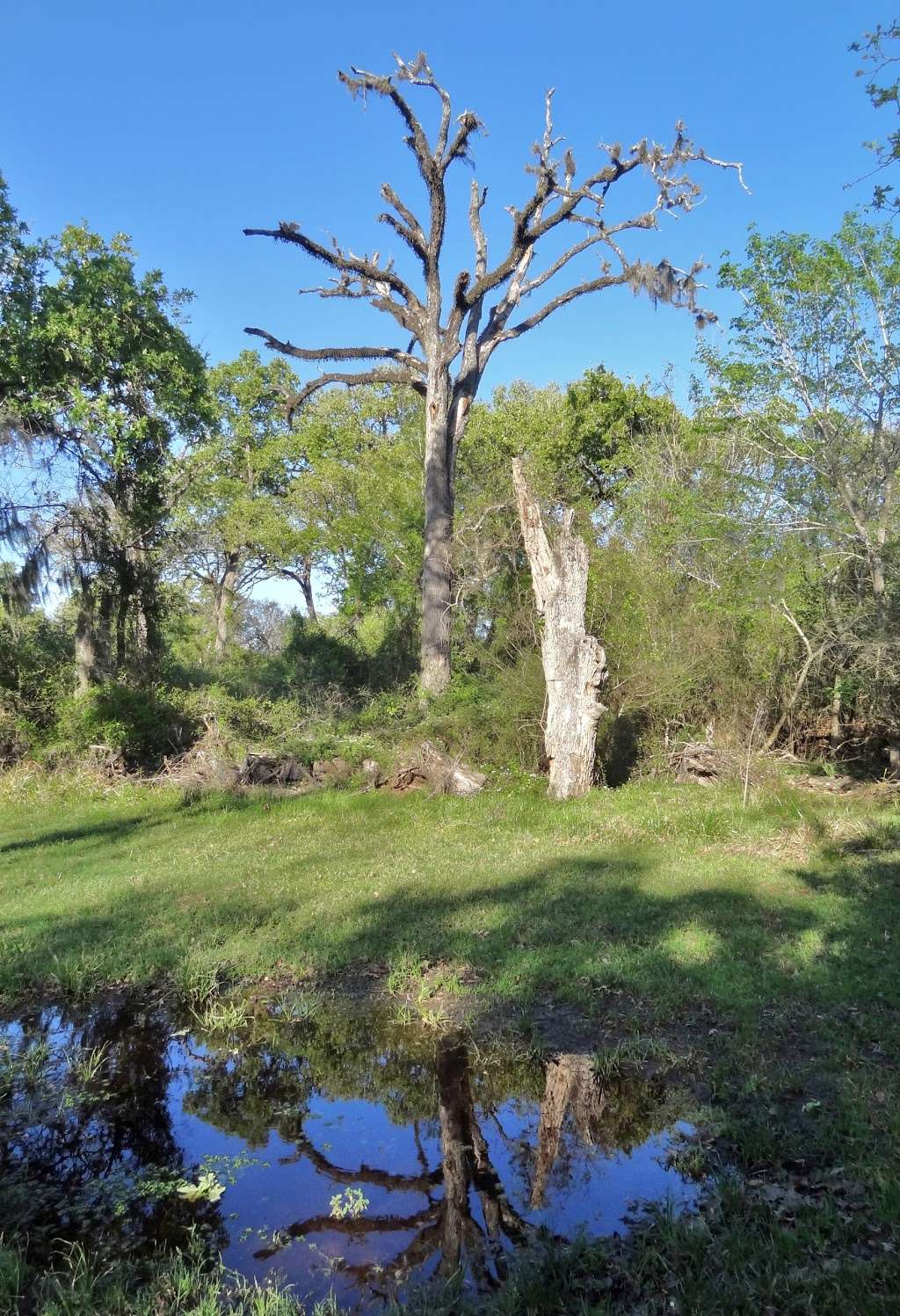 Koch-Schmidt Cemetery | Houston, TX 77084, USA