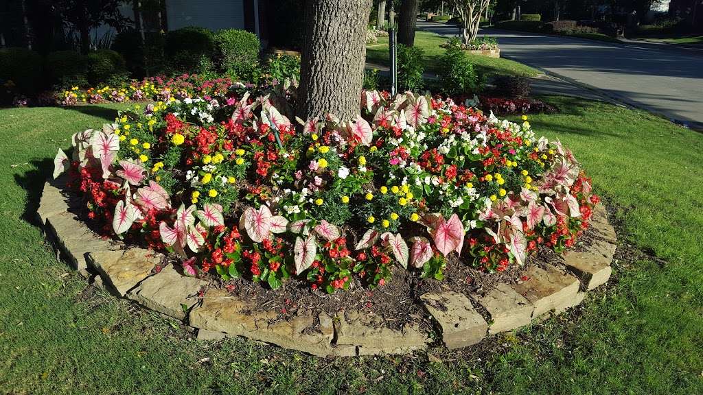 H Landscape And Color Design | 6735 Briargate Dr, Missouri City, TX 77489, USA | Phone: (281) 799-0086